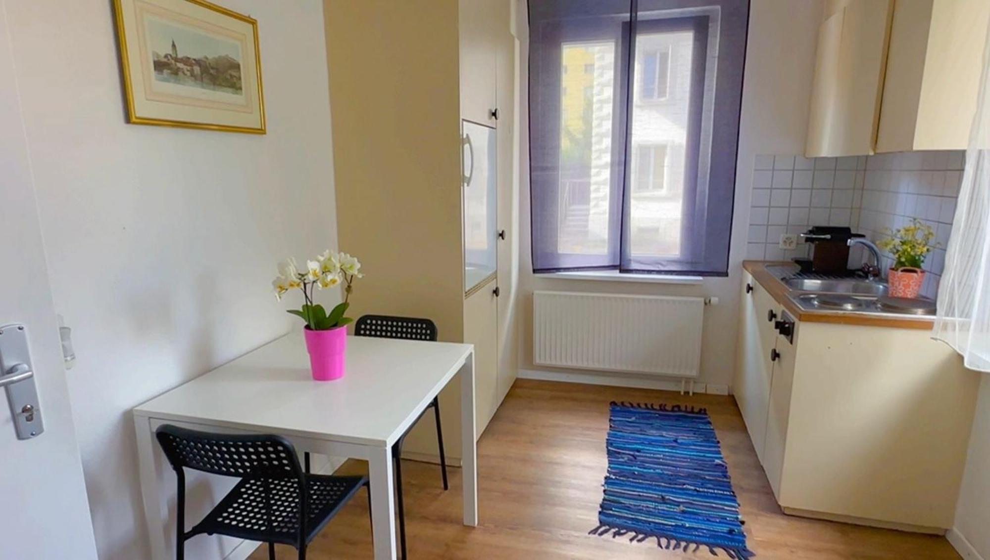 Grandhouse Center Of Switzerland Apartamento Olten Exterior foto